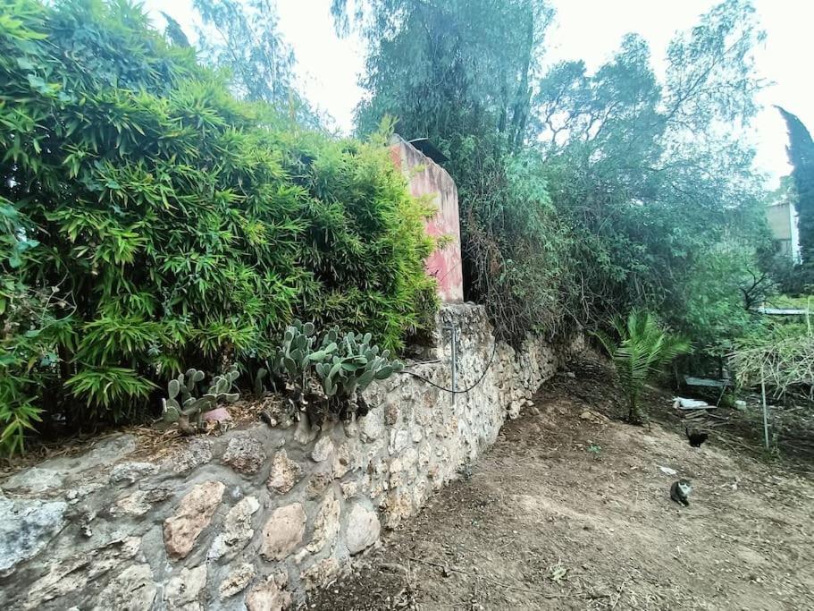 Casa Rural En El Campo Con Animales, Piscina Y Barbacoa Almodóvar del Río Kültér fotó