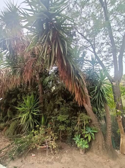 Casa Rural En El Campo Con Animales, Piscina Y Barbacoa Almodóvar del Río Kültér fotó