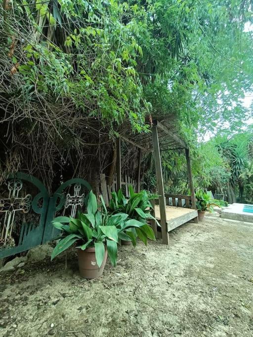 Casa Rural En El Campo Con Animales, Piscina Y Barbacoa Almodóvar del Río Kültér fotó