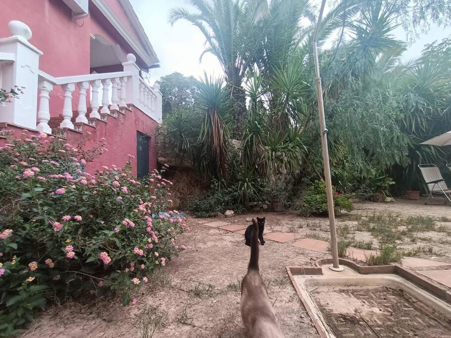 Casa Rural En El Campo Con Animales, Piscina Y Barbacoa Almodóvar del Río Kültér fotó