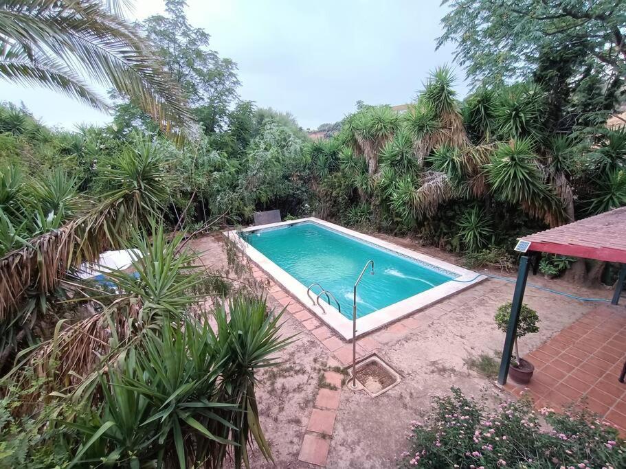 Casa Rural En El Campo Con Animales, Piscina Y Barbacoa Almodóvar del Río Kültér fotó