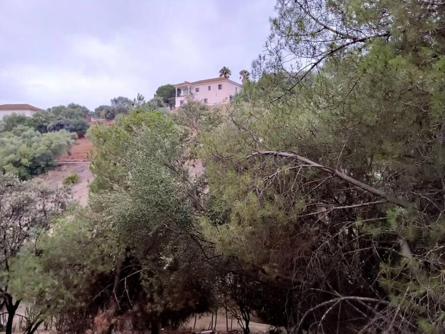 Casa Rural En El Campo Con Animales, Piscina Y Barbacoa Almodóvar del Río Kültér fotó