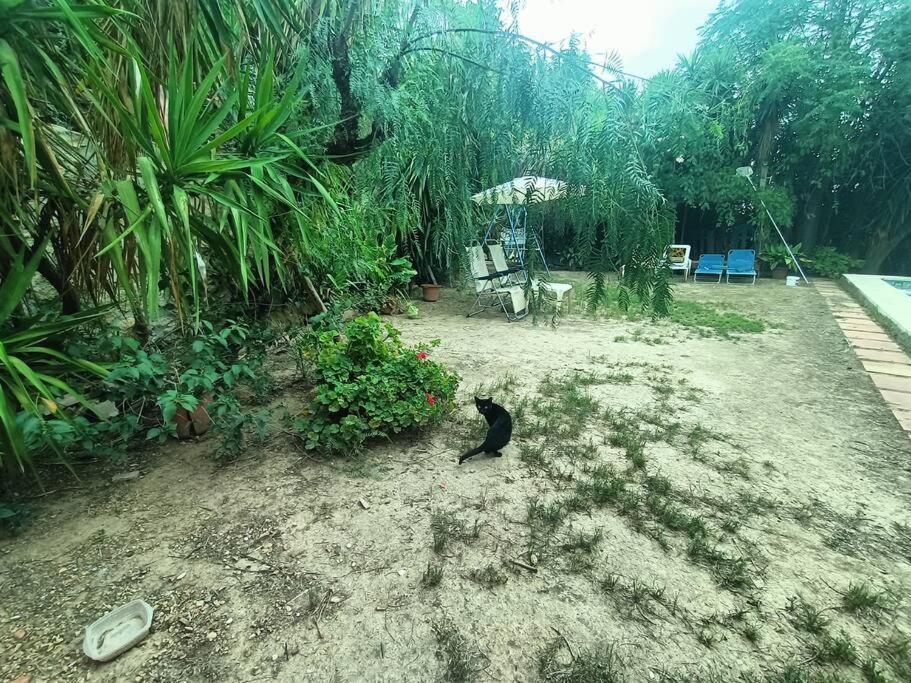 Casa Rural En El Campo Con Animales, Piscina Y Barbacoa Almodóvar del Río Kültér fotó