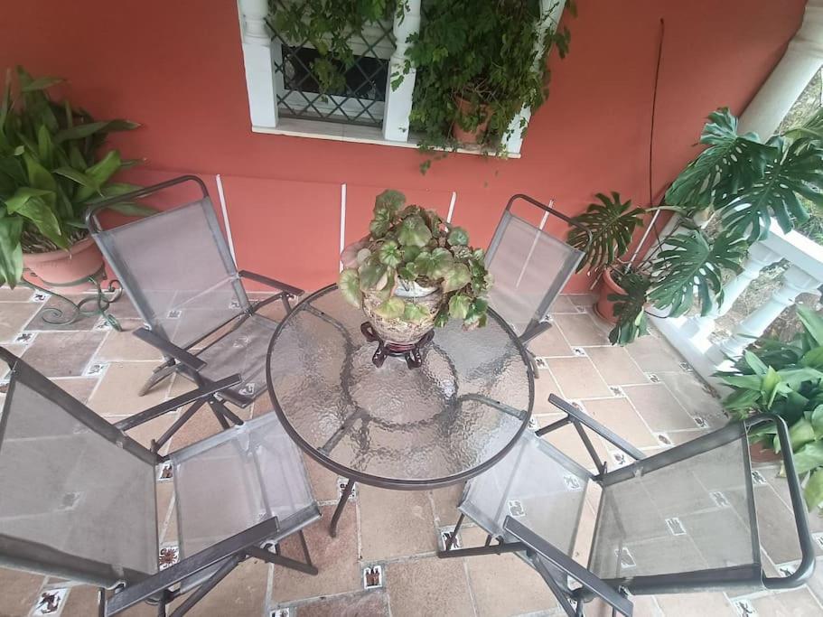 Casa Rural En El Campo Con Animales, Piscina Y Barbacoa Almodóvar del Río Kültér fotó