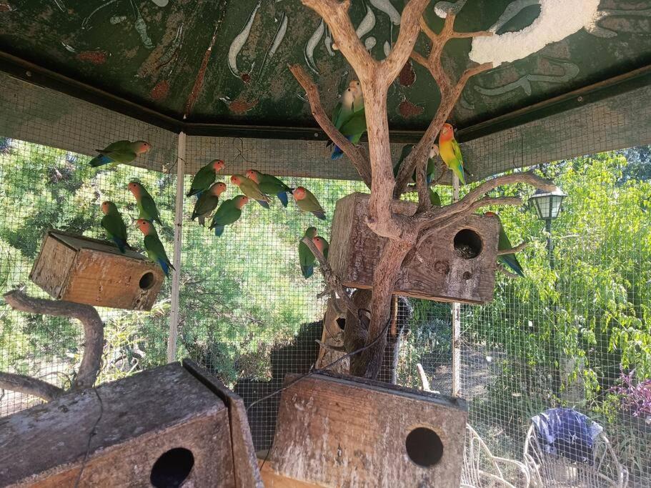Casa Rural En El Campo Con Animales, Piscina Y Barbacoa Almodóvar del Río Kültér fotó
