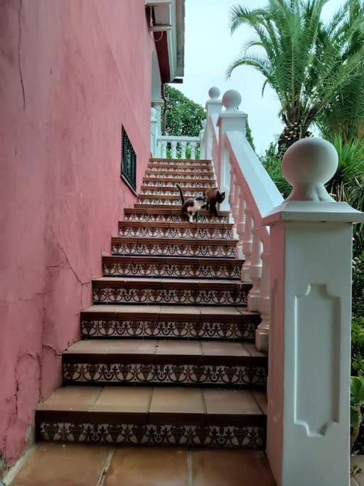 Casa Rural En El Campo Con Animales, Piscina Y Barbacoa Almodóvar del Río Kültér fotó