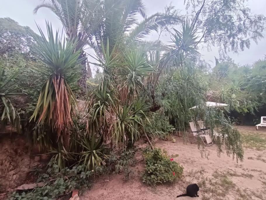 Casa Rural En El Campo Con Animales, Piscina Y Barbacoa Almodóvar del Río Kültér fotó