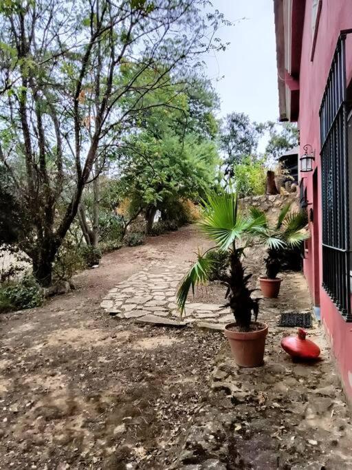Casa Rural En El Campo Con Animales, Piscina Y Barbacoa Almodóvar del Río Kültér fotó